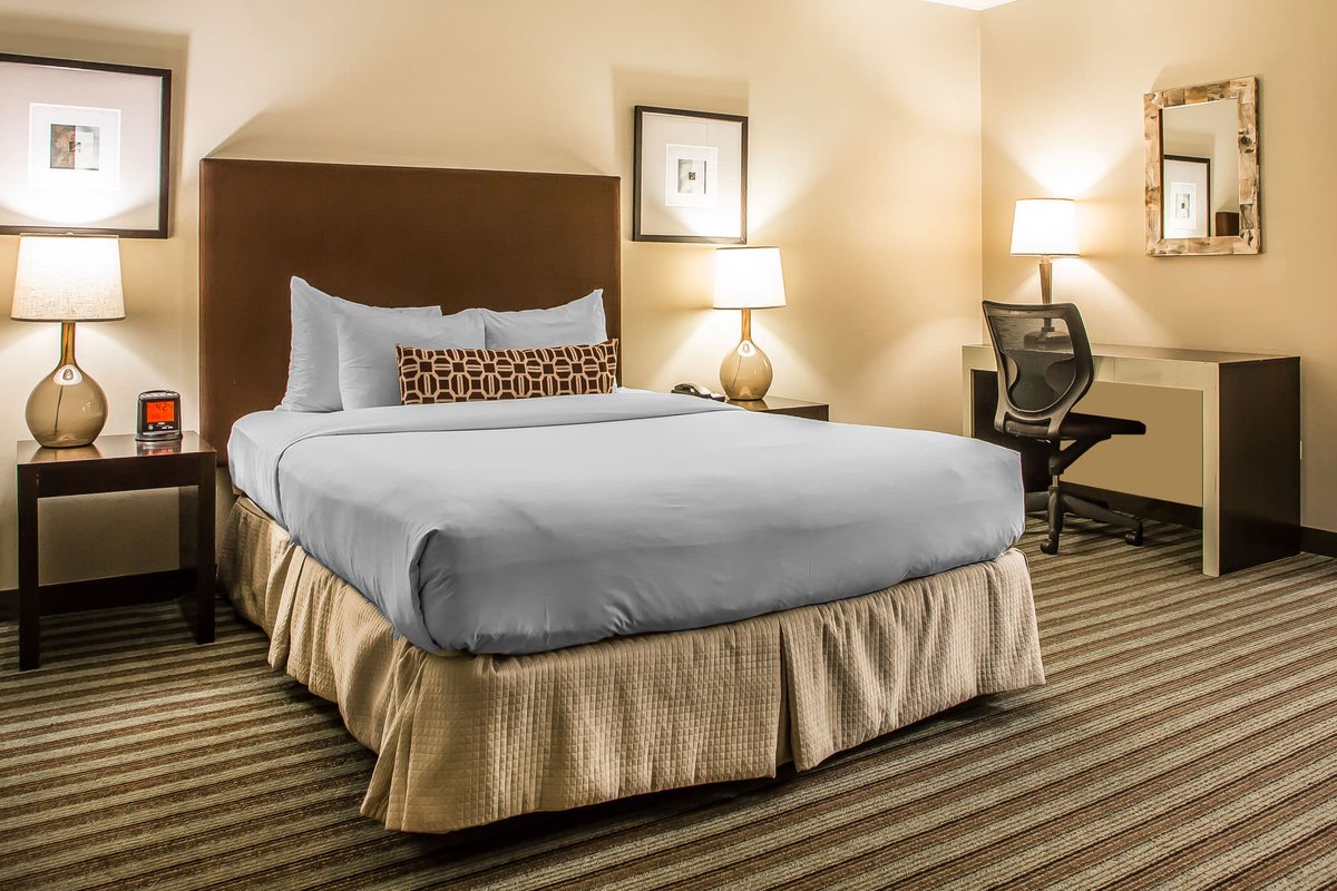 InnofChicago's tweet photo. 📣Twitter followers! Take advantage of this special offer of up to 40% off rates at the Inn of Chicago through 2021*! 🎉

*Based on availability. https://t.co/2W8Jls1K1k https://t.co/HCaV8ycTX9