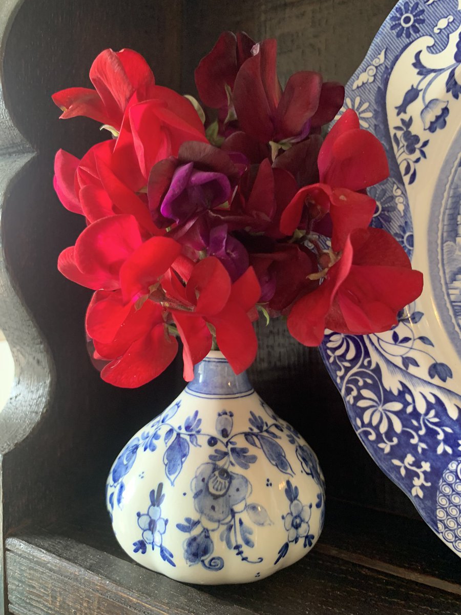 LindyLouMac's tweet image. This is as good as it gets if I am asked to ‘create’. A bunch of homegrown sweetpeas. #fmsphotoaday #fms_create #arrangement #flowers #sweetpeas #homegrown #vase