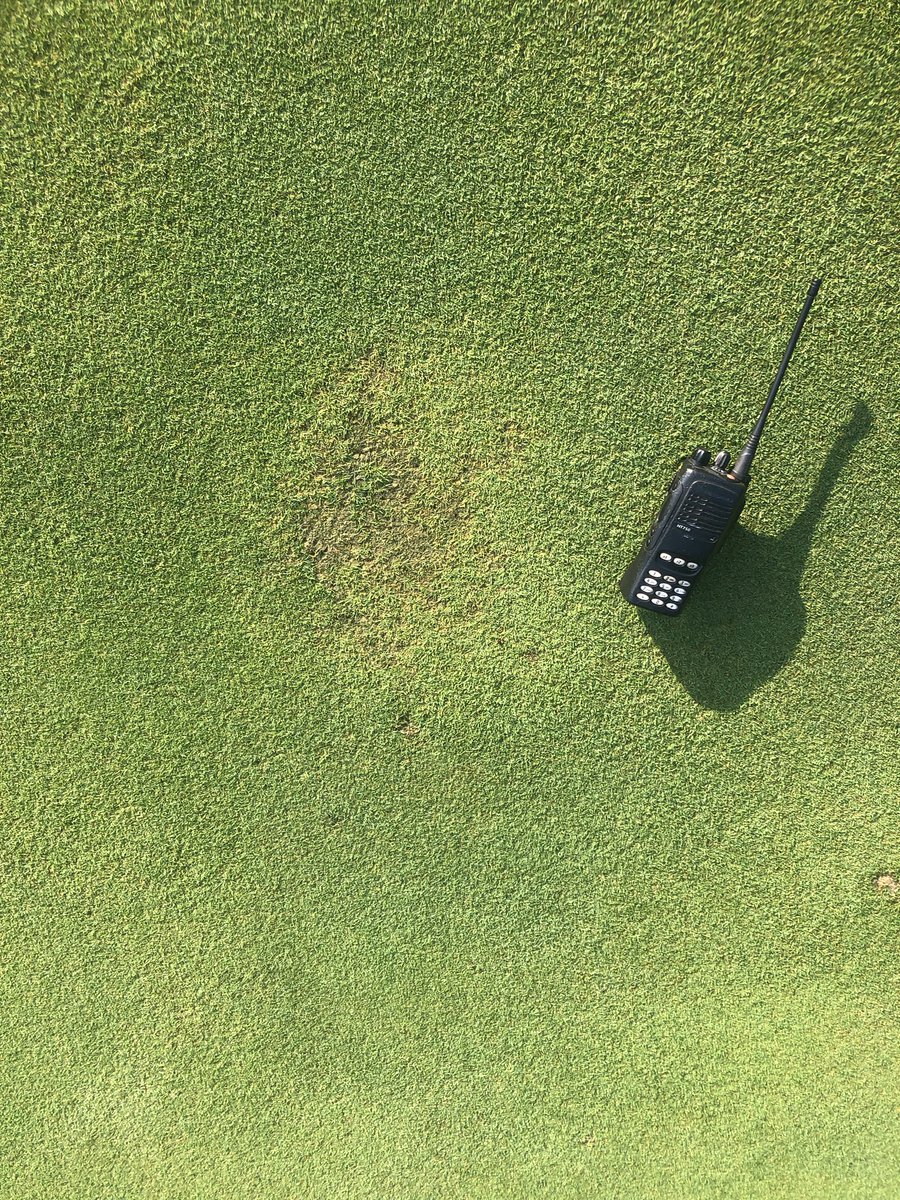 Alan FitzGerald CGCS MG tweet media