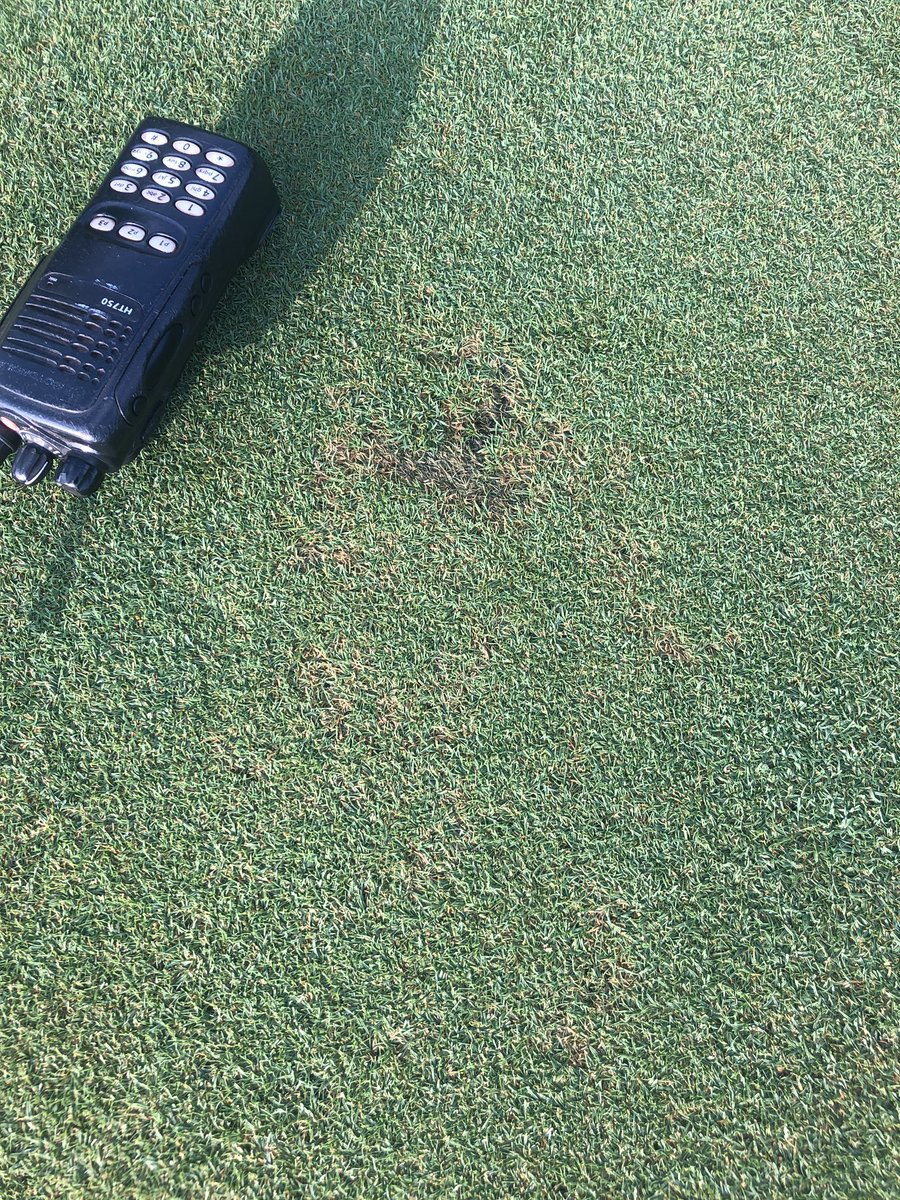 Alan FitzGerald CGCS MG tweet media