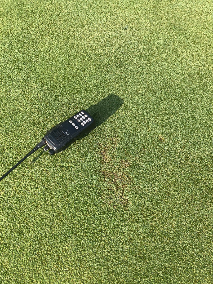 Alan FitzGerald CGCS MG tweet media