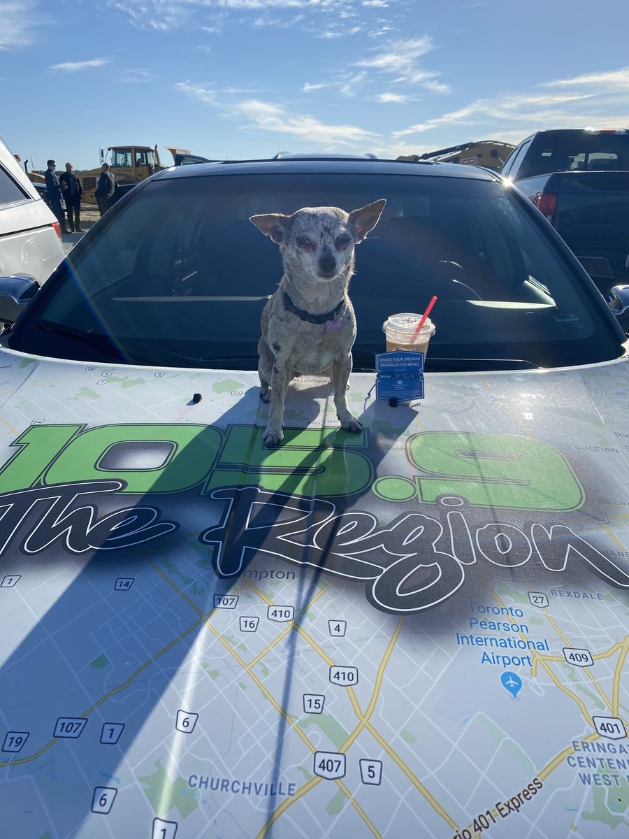 It's #campday  <a href="/TimHortons/">Tim Hortons</a>!
Our <a href="/1059ROTR/">Rob Pagetto</a> and his fur baby l, Scout, stopped by for a chilled drink. And, for a $2 donation, Rob also picked up this bracelet.
When you buy a hot or iced coffee at any location today, 100% of proceeds go to the Tim Hortons Foundation Camps!