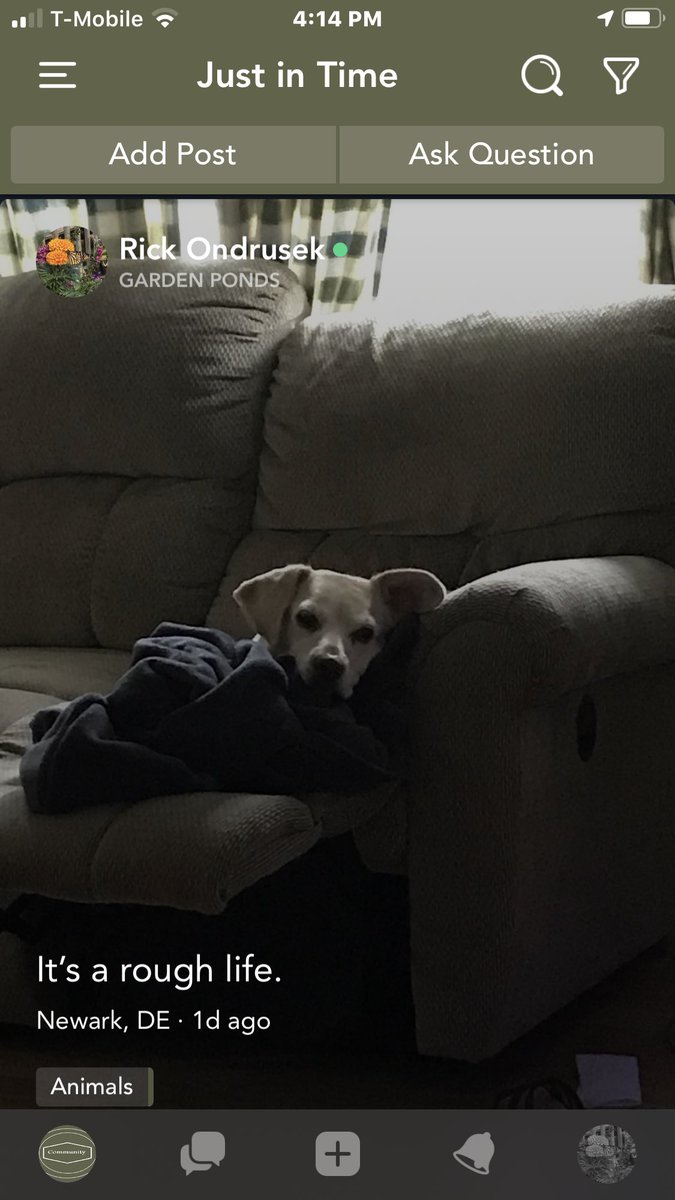 JustinT35448690's tweet image. Precious moment posted to the Animal Community at Just in Time using the mobile app for iPhone. Visit us at jitsn.com and join for free today.