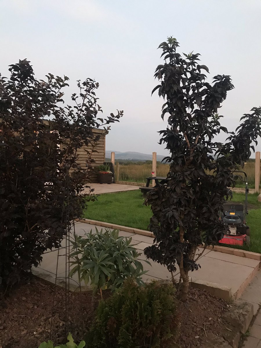 oreillynic's tweet photo. Apologies to those I spend my work days with ..... never has a break been so welcomed ..... staycation pics .... see you all soon #buildingresillience https://t.co/M5c0kD1ITX