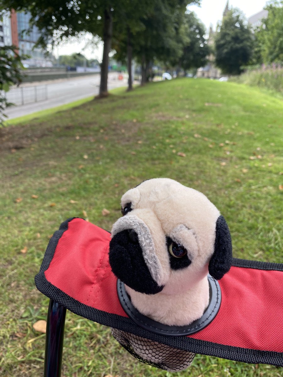LitterMum's tweet photo. Not much green space here so please if you take your dog here pick up it’s poo 💩 @BritanniaBasin @KeepBritainTidy @OurCastlefield #dogpoo https://t.co/S9B0IDScbN
