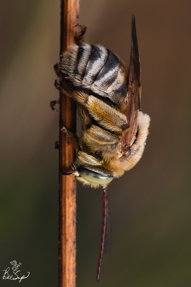 Krystle Hickman tweet media