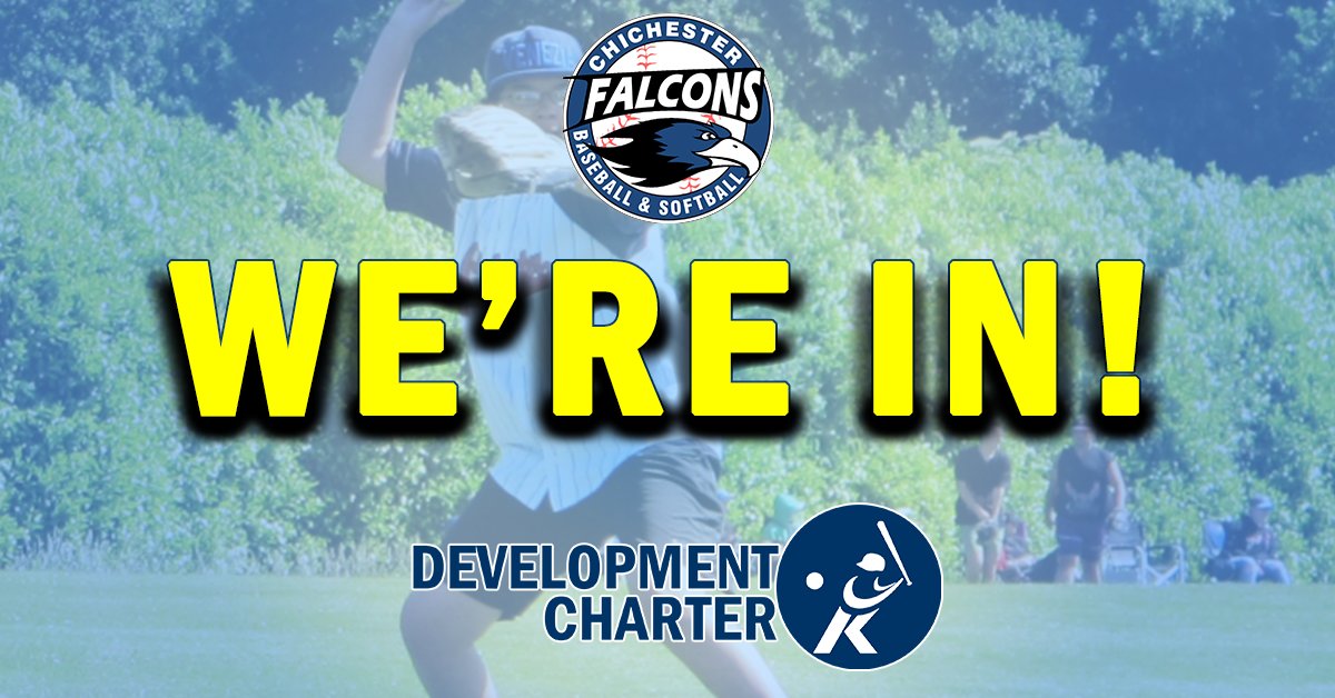 Chichester Falcons tweet media