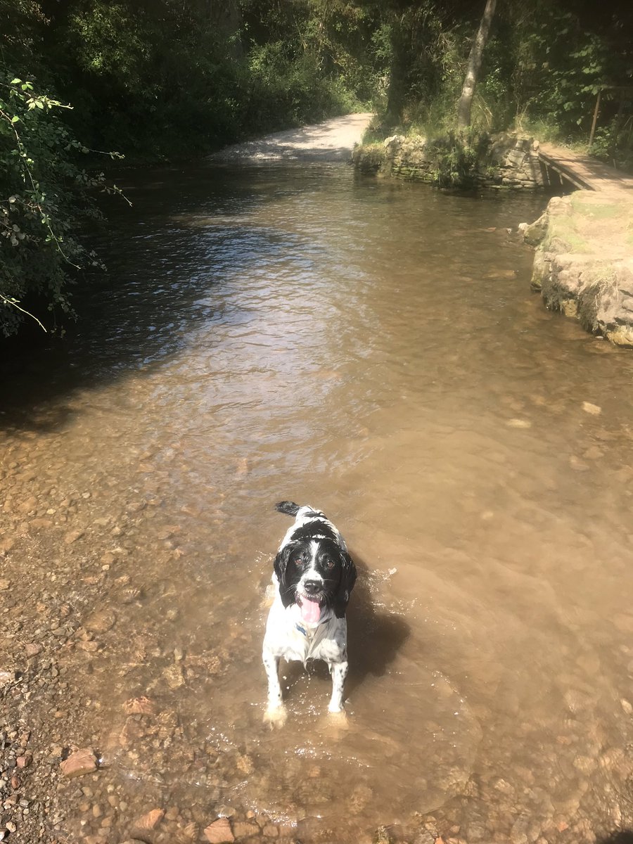 OlafsAdventure's tweet photo. The only way to cool down in this heat! https://t.co/qQzhZ2O3hu