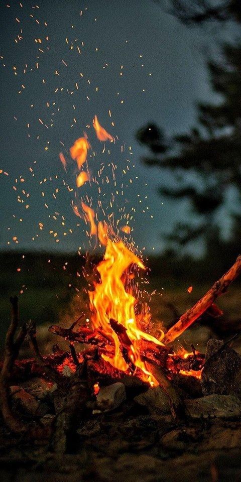 TLo02's tweet photo. It is during our darkest moments that we must focus to see the light.

#aristotle 
.
.
.
.
 
.
#inspirational #Focus #see #darkess #must 
#light #lightning #greatthought #photography #photoshoot #Wisdom https://t.co/keVylRKvqv