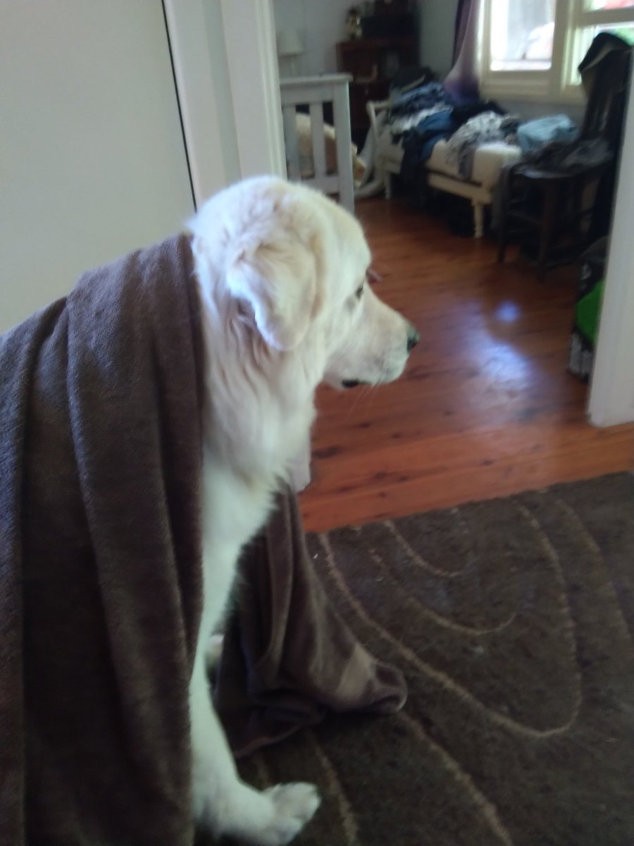 DocConors's tweet image. Old Lou kinobi