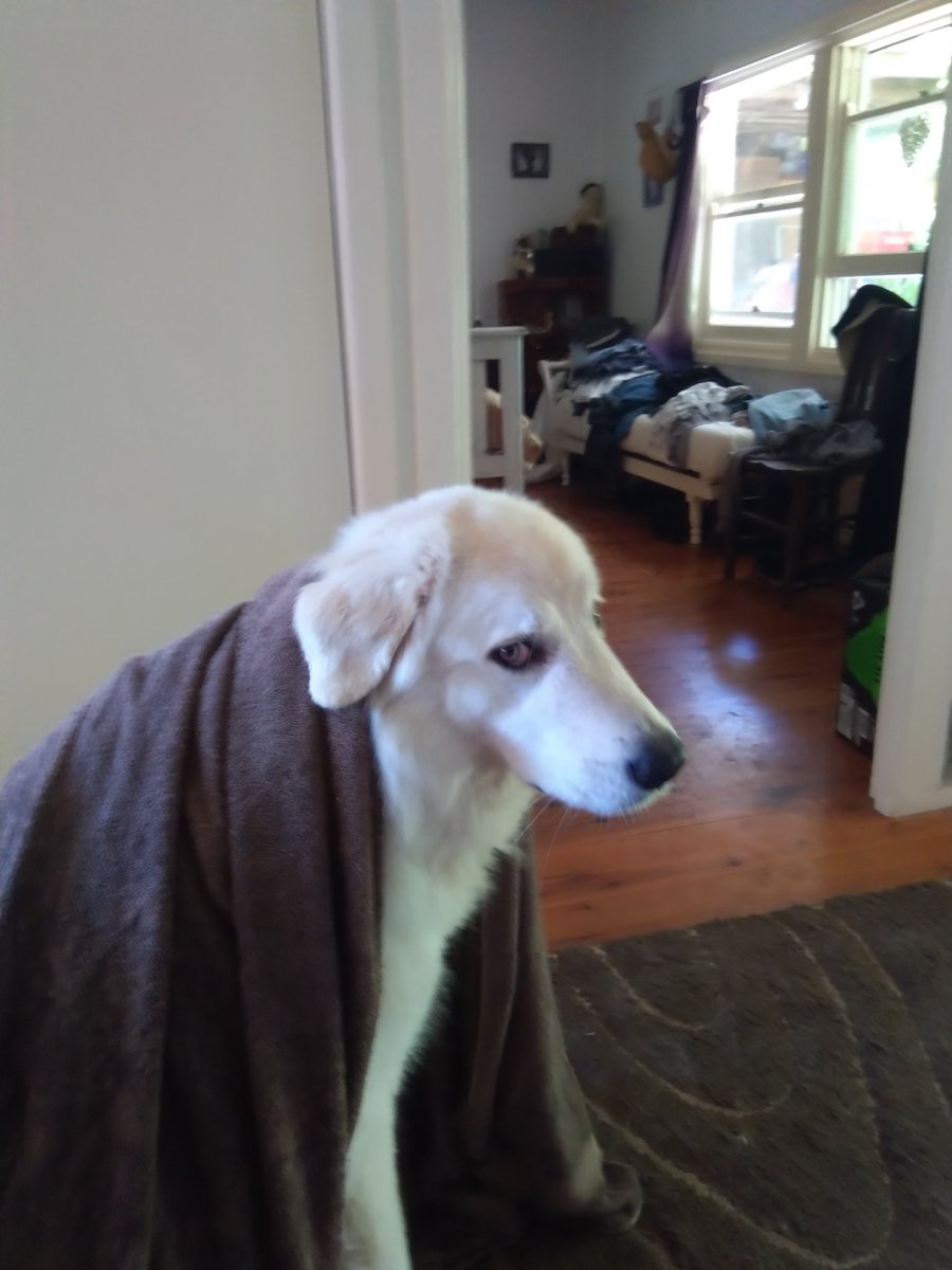 DocConors's tweet image. Old Lou kinobi