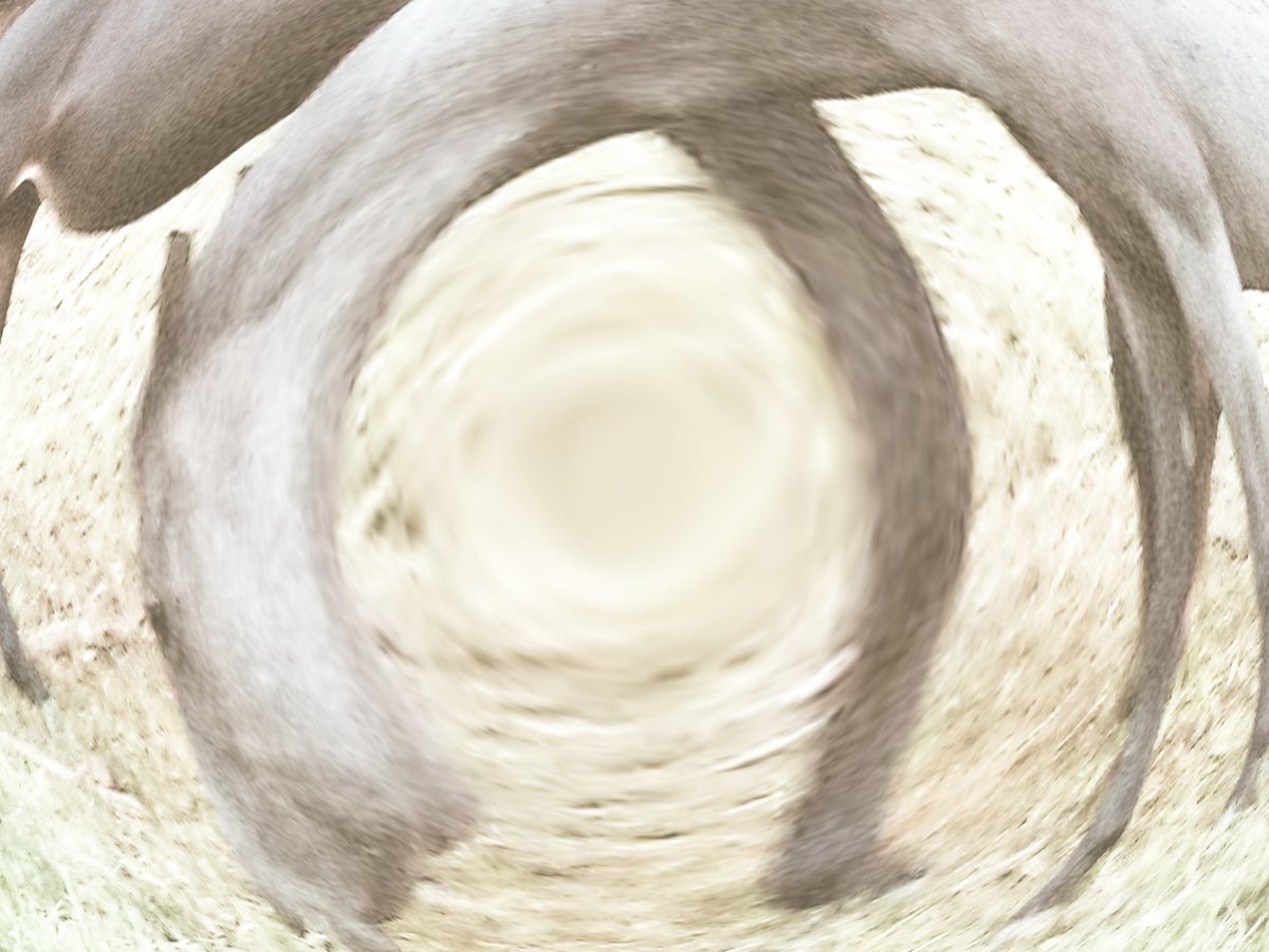 LOOK!!!

If you see this post, like it and let me know how many are actually paying attention.

❤️ &amp; 🔄