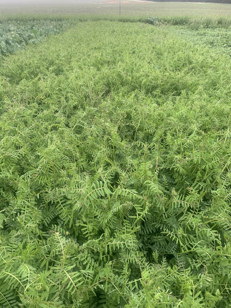 Luke Marquis tweet media