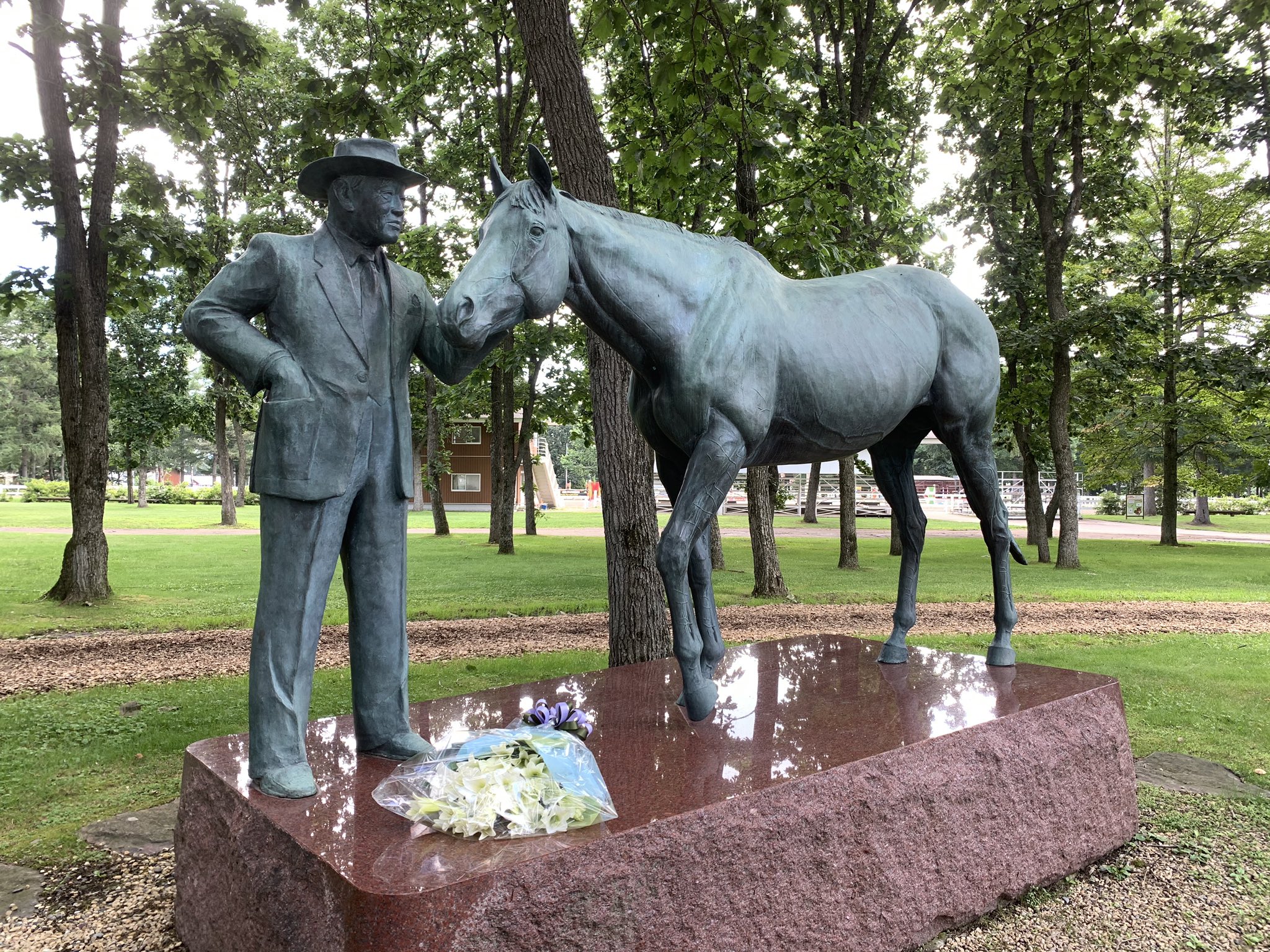 人気定番の 馬 ブロンズ像 銅像 牡馬 その他 ハンドメイド 25 272 Kadus Hotel Ir