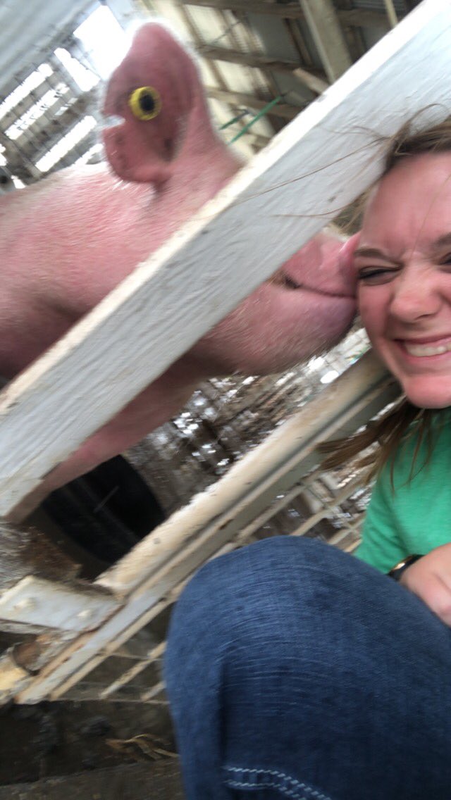 erob43's tweet photo. Norm, you were a hell of a hog, but an even better meal. I’ve never seen someone or something fulfill their life purpose, a companion and a meal, better than this guy. #forevermyfavorite ❤️ @peta https://t.co/4dsnDKFJAA