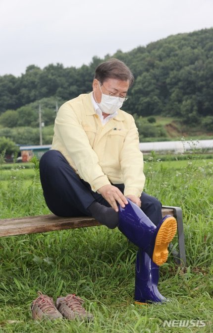 문프 보니 노짱 생각나서 찾아봄