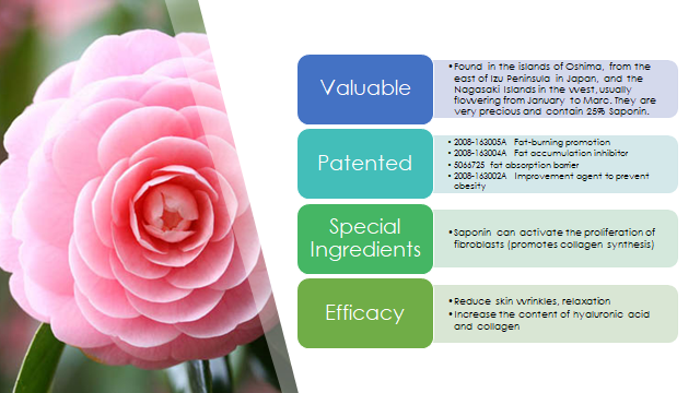 MDP_WorldInc's tweet photo. 7. CAMELLIA JAPONICA SEED
Skin Detoxifying and Slimming
They are very precious and contain 25% Saponin.
Saponin can activate the proliferation of fibroblasts (promotes collagen synthesis)
#KireiMixedBerries #Makingdreamspossible #MDPworld #Detox #Toxin #Health https://t.co/vR9wO1Avro