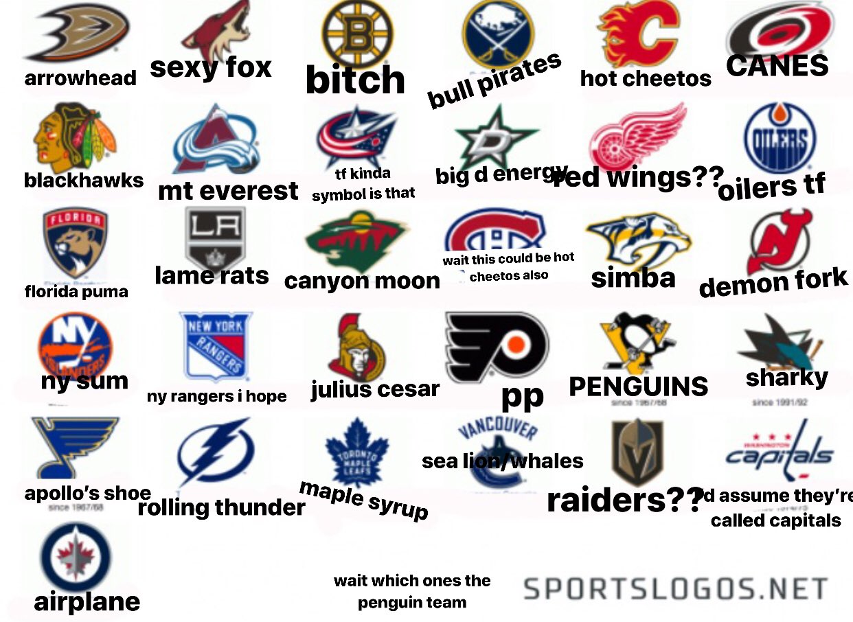How It Was Named  NHL Teams 