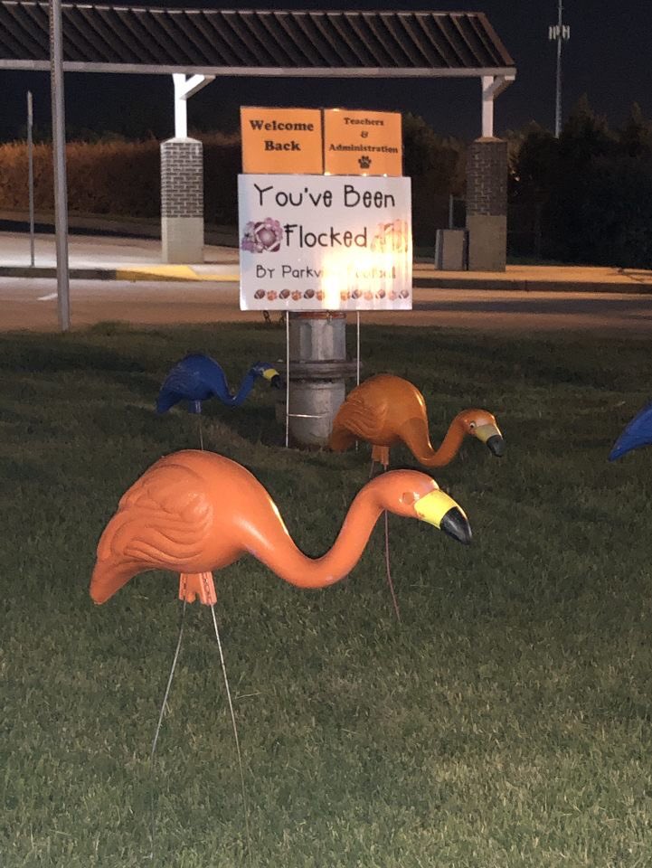 FlockersPhs's tweet photo. Welcome back, Parkview! #relentless #lettheflockingbegin https://t.co/rm9lcMqVyF