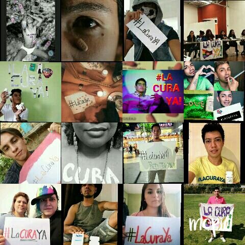 JovPOZMex's tweet photo. Las juventudes con #VIH existimos y exigimos

📢📢📢 https://t.co/XdgkhpOJsg