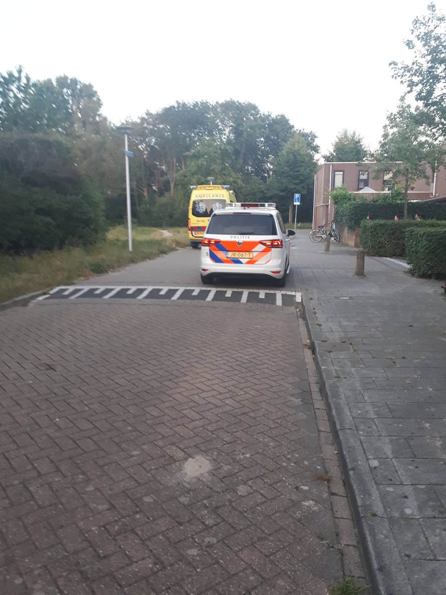 Melding mishandeling Rossinistraat Holtenbroek