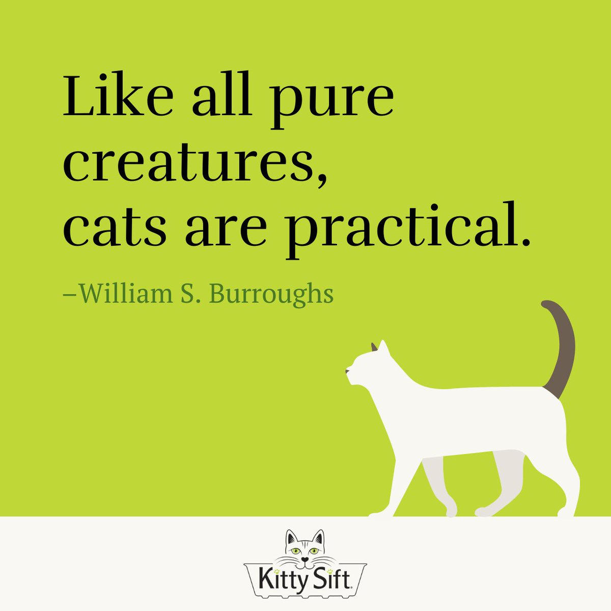 "Like all pure creatures, cats are practical." ❤

But really, every cat has their own strange and unique personality. That's why we love them so much, right?!

 #cat #catsofinstagram #catlove #catloversclub #catlover #meow #catlady #rescuecat #wisdomwednesday #quote #instaquote