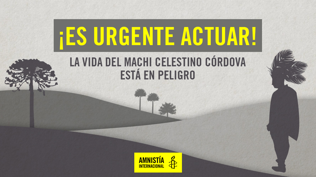 amnistiachile's tweet photo. 🔴¡La vida del machi corre peligro! 
Firma nuestra acción para que exigir que lo escuchen.

El ministro del interior @victorperez_v estará recibiendo diariamente las firmas que se realicen en 🇨🇱 y el mundo. 

¡Actúa por el diálogo! 👉https://t.co/Hu7ITbA5Ei 
#EscuchenAlMachi https://t.co/yRw6iaquX7