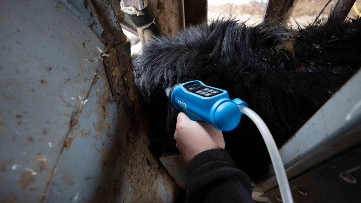 Looking to reduce your on-farm costs?
By giving your livestock the correct amount of drench, not only is it benefiting them but you could be saving over a third of your drench! 💉