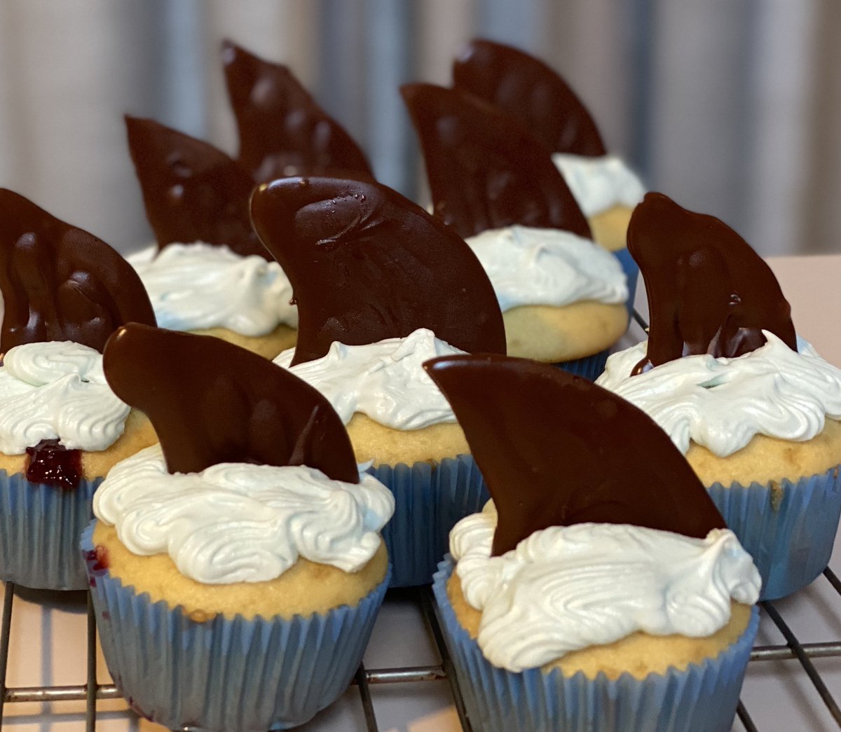 Singin_Crow's tweet photo. #SharkWeek2020 #feedingfrenzy https://t.co/sFLKUMuGnX