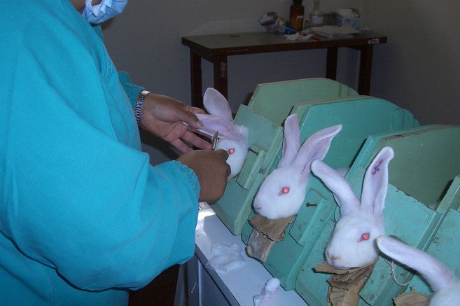 elespectador's tweet photo. Colombia, primer país de la región que prohíbe las pruebas cosméticas en animales
https://t.co/A5Xa9UiwZJ https://t.co/Xy3lN8otr0
