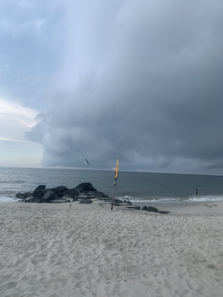 jaypopschiller's tweet photo. Fins to the left and Fins to the right...
Time to clear the beach! https://t.co/6qjTNibFMA