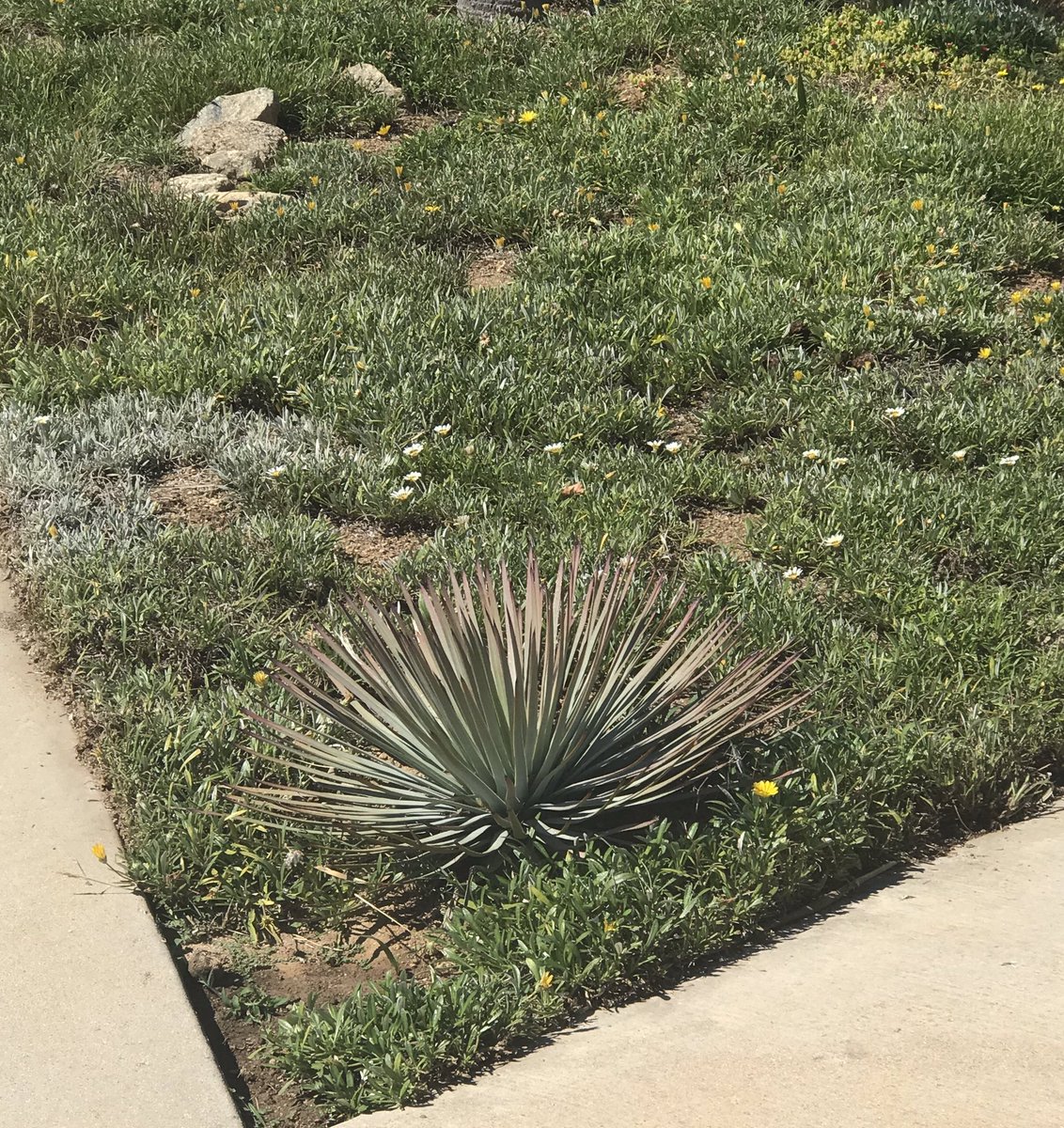 nmcarrillo21's tweet photo. Feeling the burn yet my teacher friends? Yeah me too! A little bit! #thatsdonkeypoop #takeaquickbreak #gooutside #onlinelearning2020 #astepatatime #easydoesit https://t.co/FvVNe4yD7i