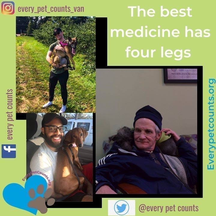 EveryPetCounts's tweet image. Fun fact :  It was also found that pet owners have lower blood pressure, lower cholesterol levels, and better psychological health than non-dog-owners.   bit.ly/2Ow48In