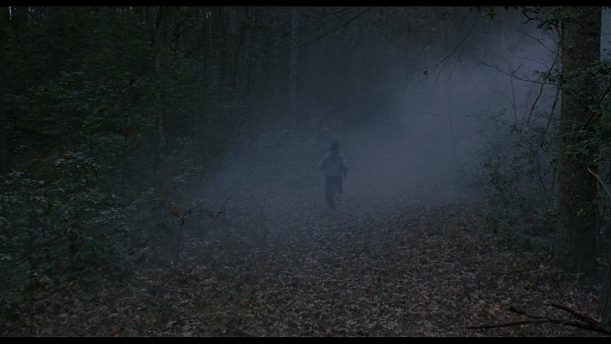 this came two years before the x-files and it *had* to be a major influence, right? 'girl running through misty woods' is lifted directly for the x-files opening. except of course demme wants to make it a commentary on audience assumptions