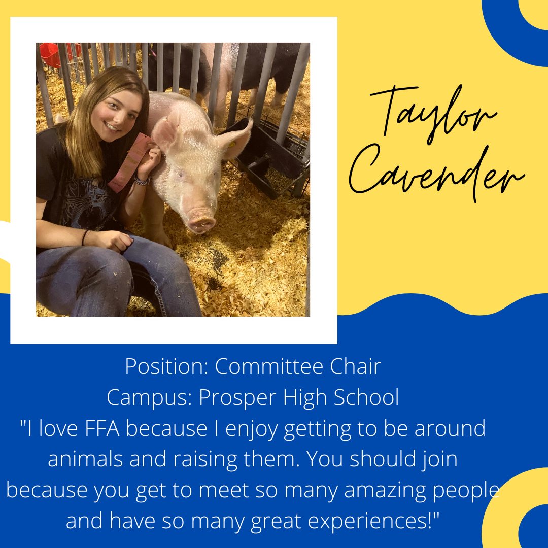 Prosper FFA tweet media