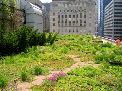 Environ46796297's tweet photo. Roof gardens convert CO2 emissions, produce oxygen, reduces the heat of buildings, reduces stormwater runoff, and can harvest rainwater. #StopExtinctionInYourBackyard https://t.co/VTTcle6jD1