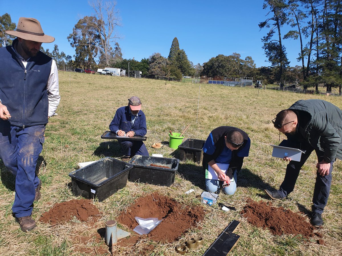 DPI_DigitalAg's tweet photo. How do you calibrate your digital soil moisture sensors? Or do you trust the factory default?
Here's us obtaining field bulk density samples to be used in a calibration method we're trialling. 
#bucketscience #soilscience #cleandirt https://t.co/uqjQ9uyOvV