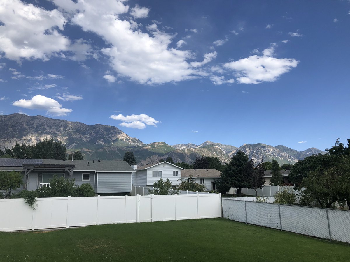 🙏🏽 tweet media