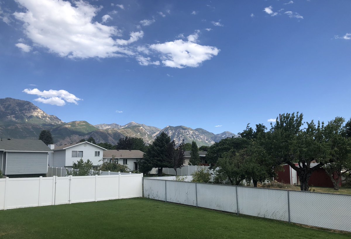 🙏🏽 tweet media