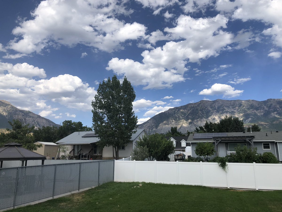 🙏🏽 tweet media