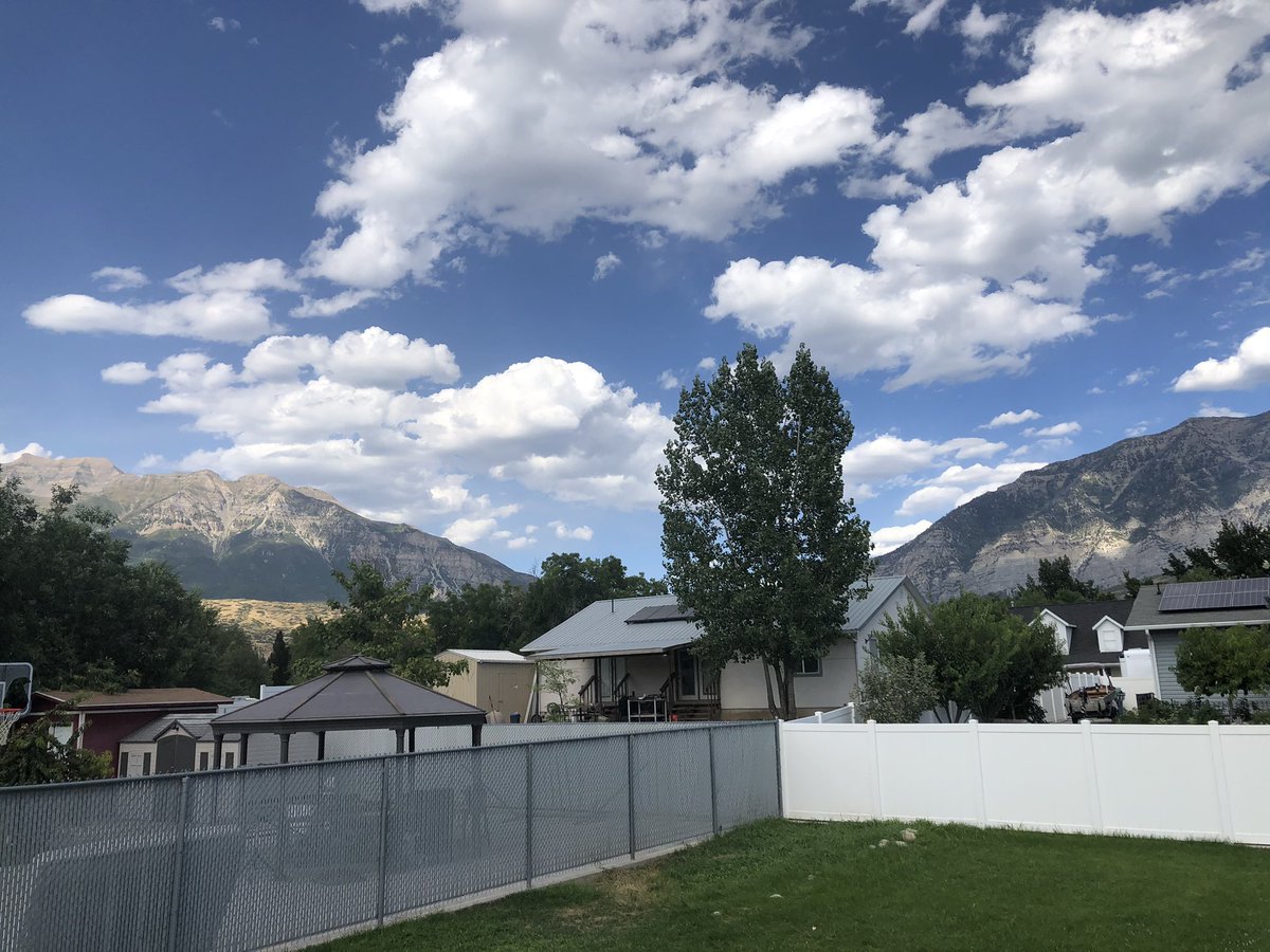 🙏🏽 tweet media