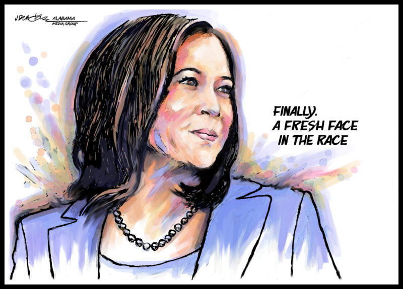 AllanMargolin's tweet photo. Finally - A Fresh Face In The Race, @KamalaHarris via @Crowetoons - #VoteBlue

@SpiritMaterial @Jamestoupin @JohnnyBlkshrt @ableraces @BlackCheesebur1 @DrAndreaDutton @immelza @jakki2004 @StanleyCohenLaw @MysterySolvent @ChaelMontgomery @HHooversGhost @DeadpoolResists @Picassokat https://t.co/ORVM3amQ7i