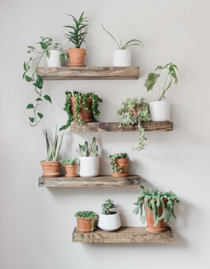 MalissaSahari's tweet photo. One clinical study found people who care for plants tend to be more compassionate and empathetic towards those around them. 

Additionally, further research reinforces that this form of therapy has a positive impact on anxiety and can improve overall mental health and wellness. https://t.co/x1ekzrfUpe
