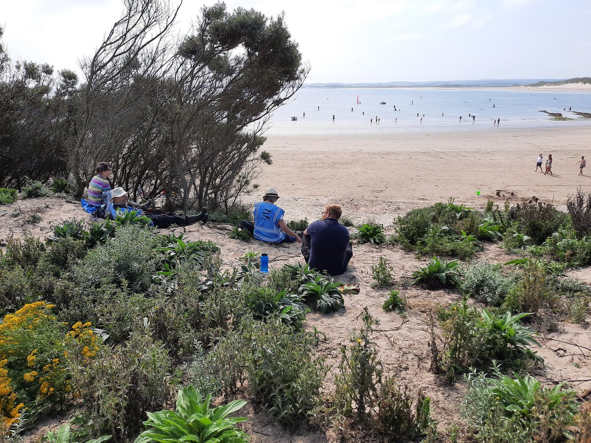 sadoldsamurai's tweet photo. Today's highlights #InvasiveSpecies removal in the sun, excellent @Swallowfishltd kipper sarnie from #Baitbox for lunch and @coast_care s Rob spotted what became my first sighting of a #PaintedLady in 2020 https://t.co/N57nGYH1b1