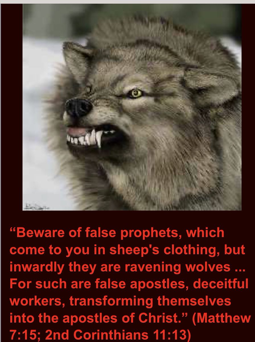 TrustJesusAlone's tweet photo. https://t.co/8E9IJAcu62
