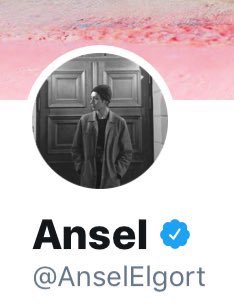 Ansel elgort also changed his pfp to taehyung pic