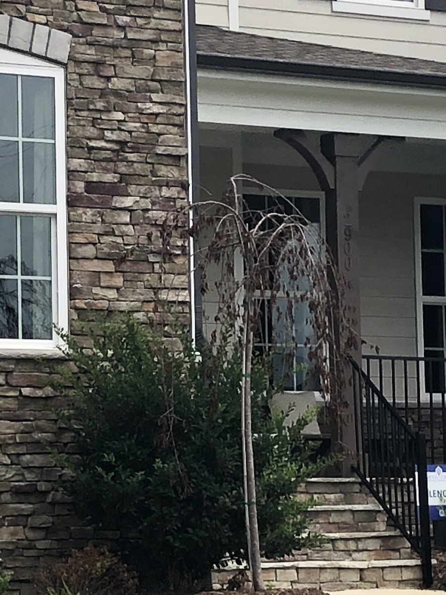 Smith Farm Community Apex by Lennar (smith_farm_apex) Twitter