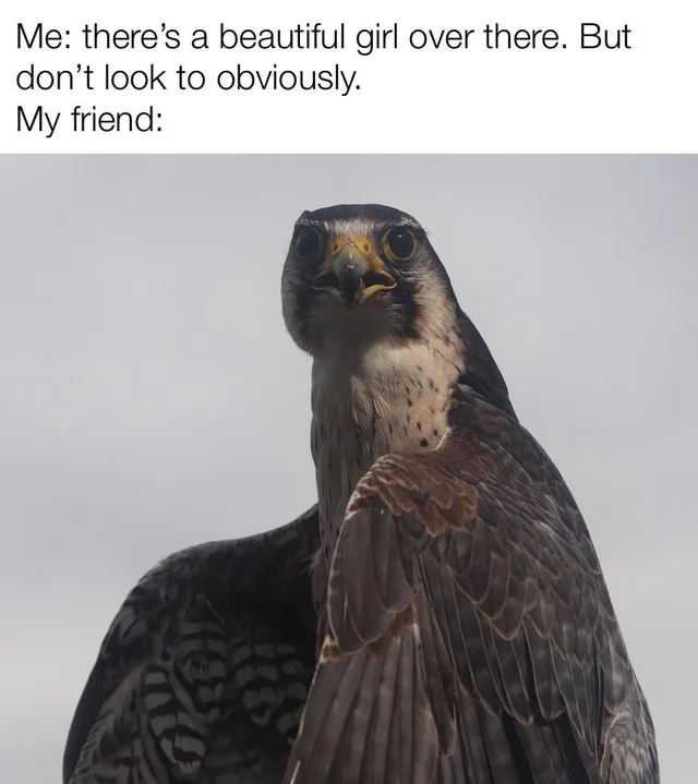 DexWildlife's tweet photo. https://t.co/Ws8BWIUYLw