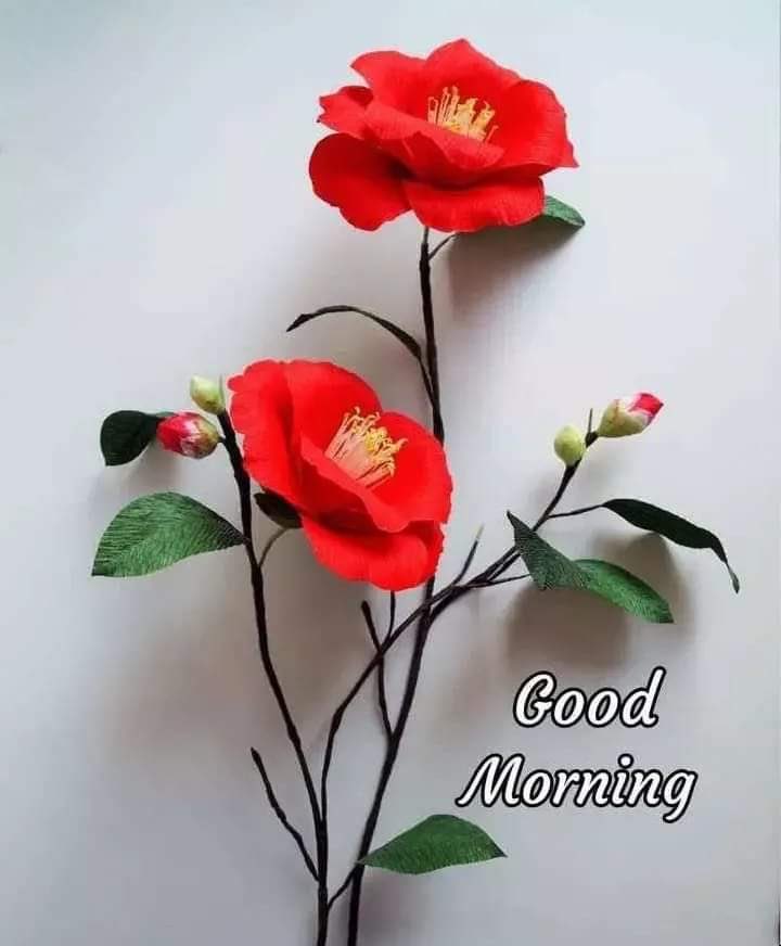 yasmihandayani1's tweet photo. Good morning, let's get active ❤️😘🌷🌹 https://t.co/qHH5mGqv20