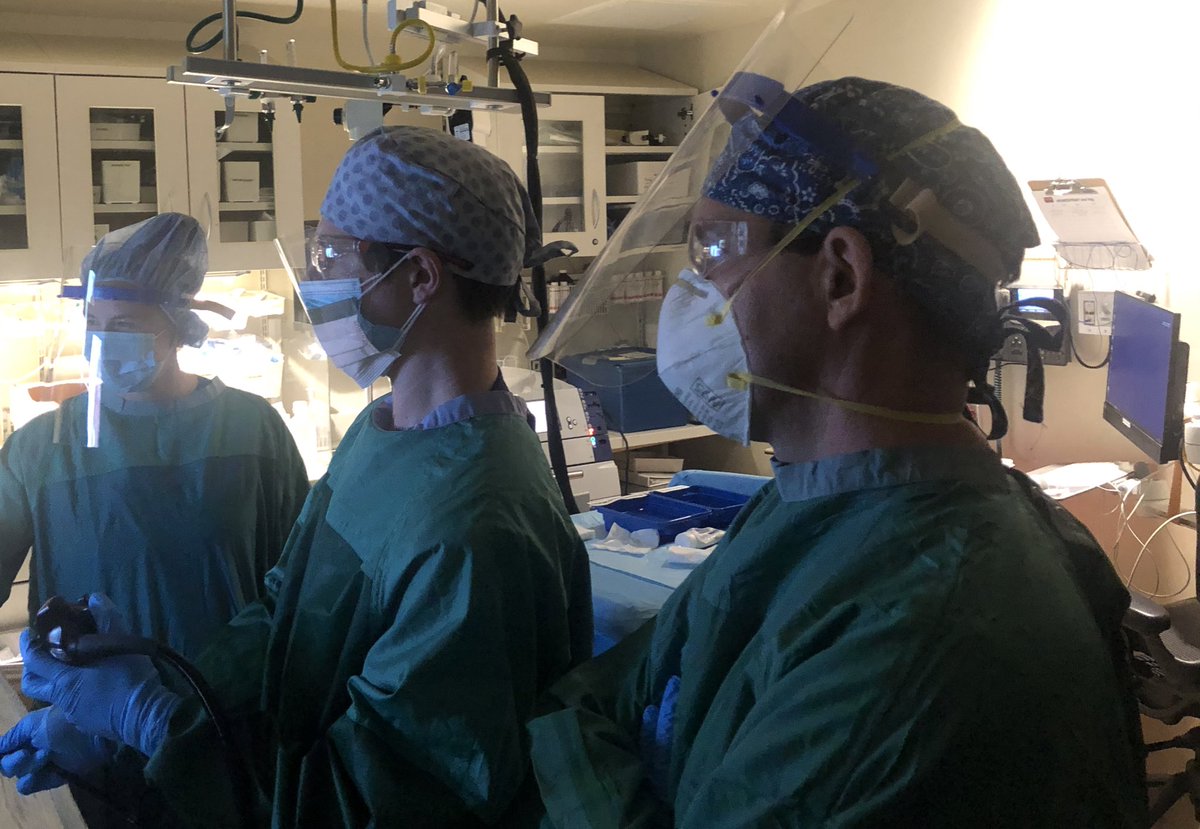 HowardTLeeMD's tweet photo. Hi! Are you applying for #GIFellowship? 

As a proud @Duke_GI_ alumni, I would like to encourage you to apply for our program

We have
1️⃣Friendly PD &amp; faculty❤️
2️⃣📈procedure volume 
3️⃣Both Pentax &amp; Olympus scopes
4️⃣5 different 🏥settings
5️⃣Amazing co-fellows🙌

📩 me for more! https://t.co/WCU6Hge7Uu